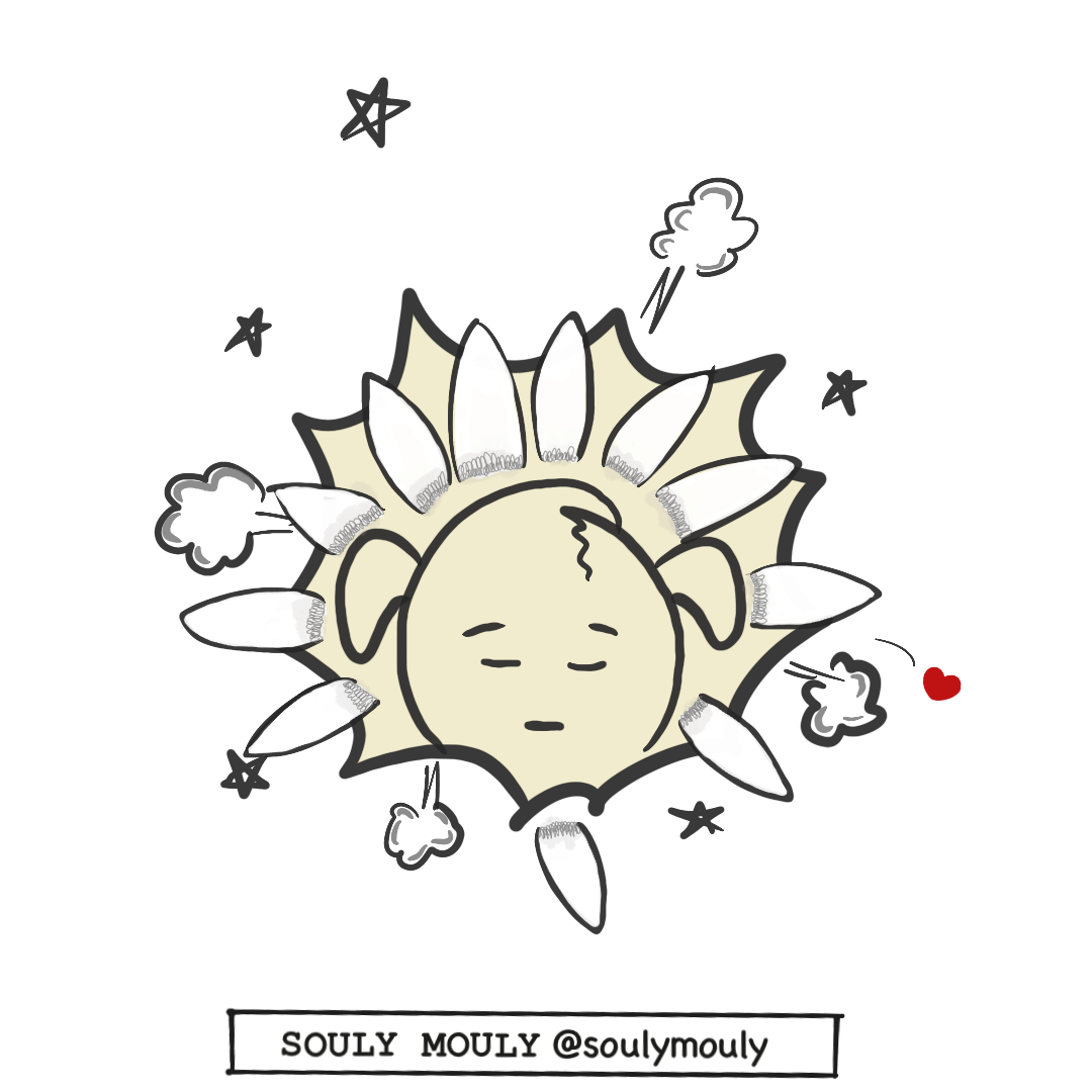 Souly Mouly Illustration